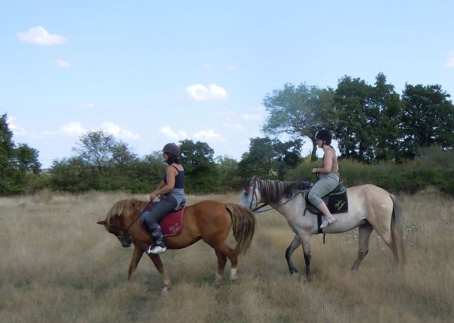 Balade a cheval Baulon